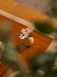 かぐや雛 - 羽姫