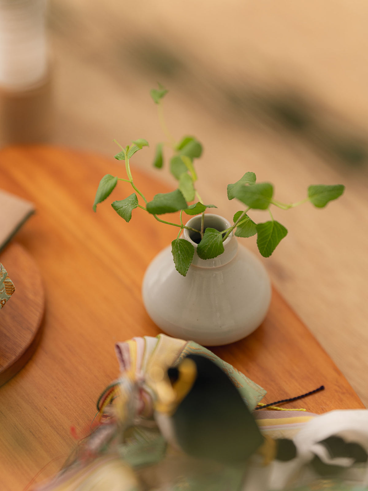 かぐや雛 - 森姫