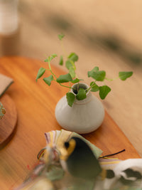 かぐや雛 - 森姫